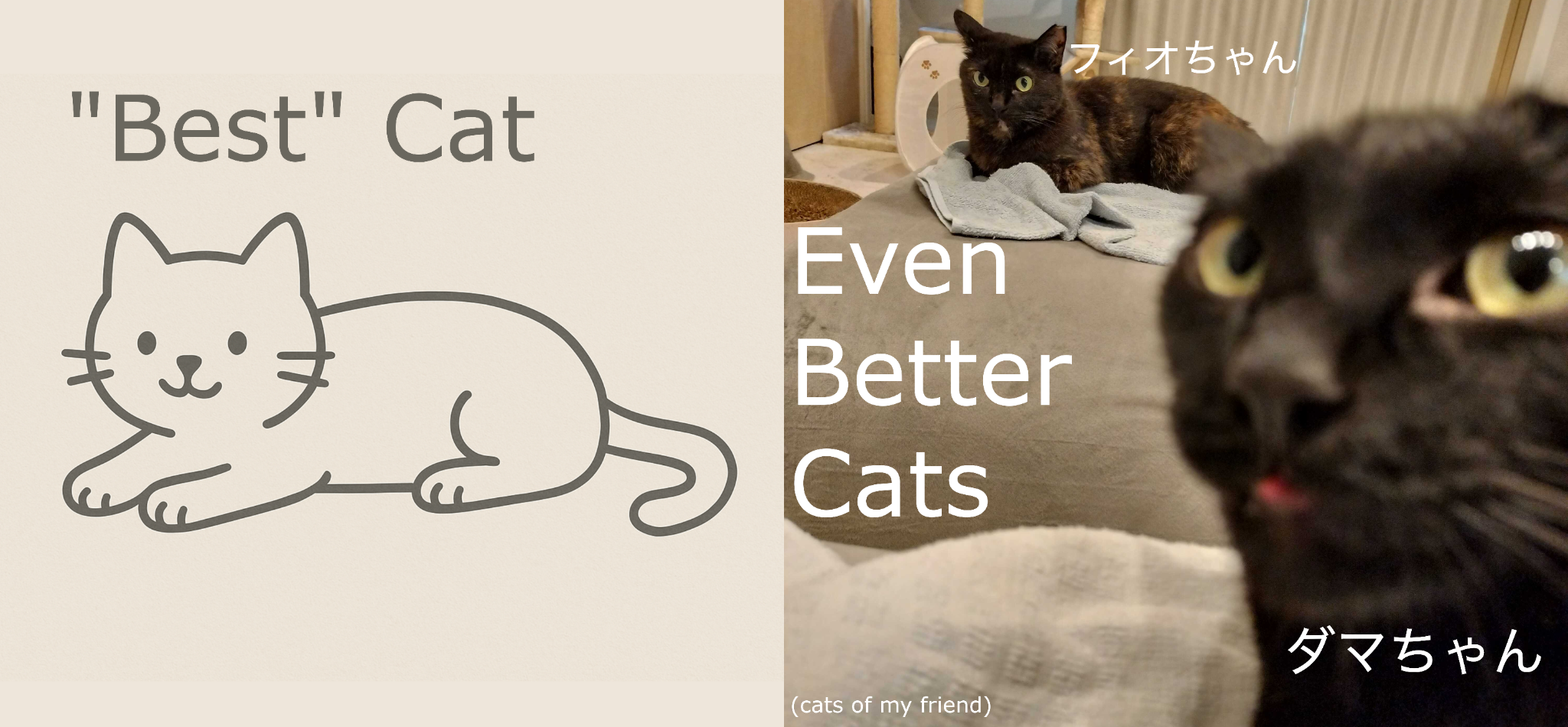 The Best cats are YOUR CATS
